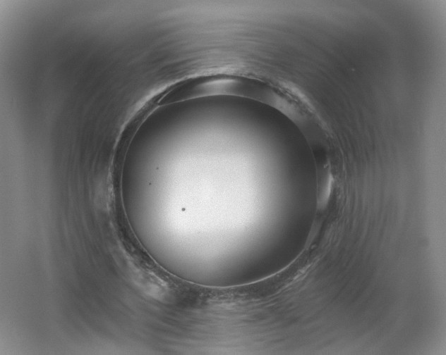 X0000062640532200512211206