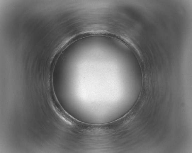 X0000062640533200512211206