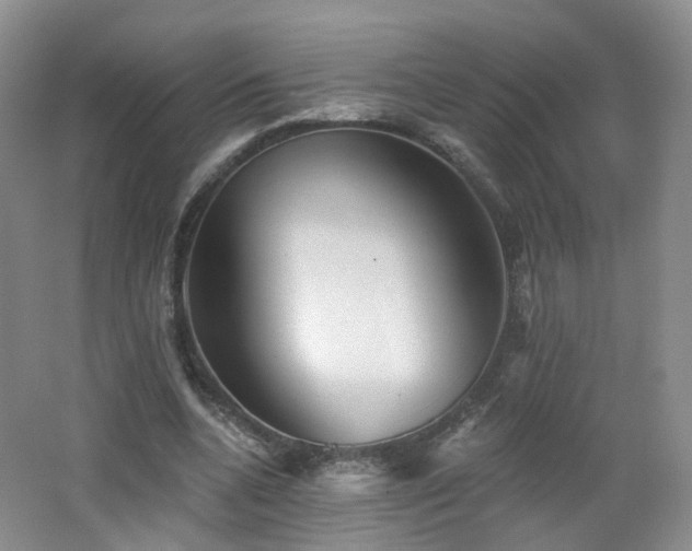 X0000062640536200512211207