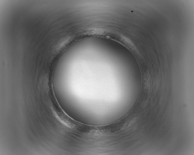 X0000062640538200512211207