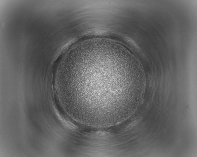 X0000062640542200512211207