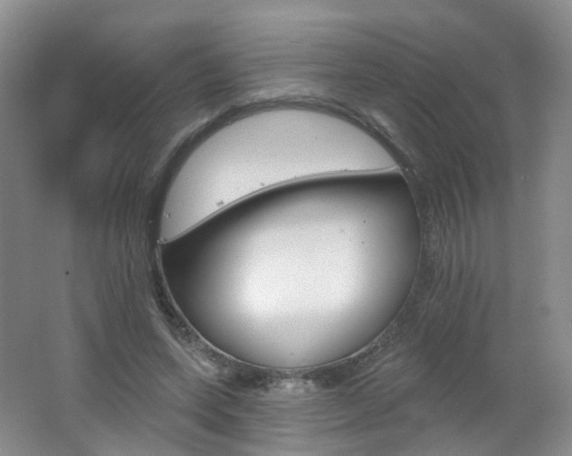 X0000062640543200512211207