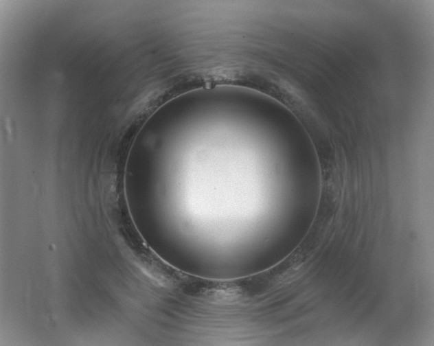 X0000062640548200512211207