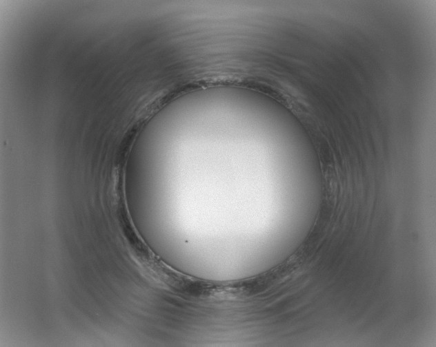 X0000062640550200512211207