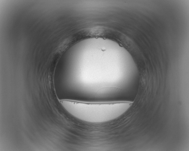 X0000062640551200512211207