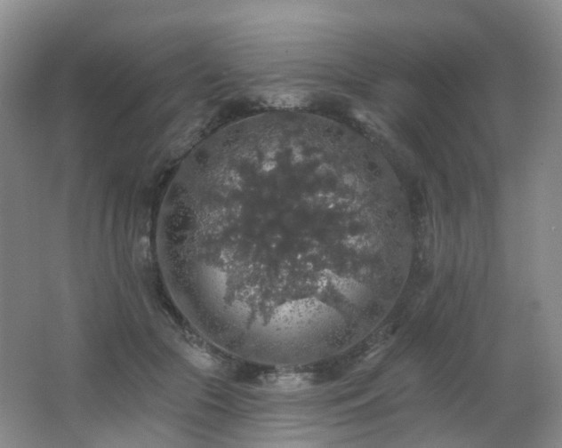 X0000062640553200512211207
