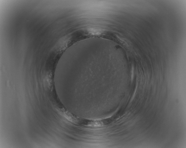 X0000062640559200512211207