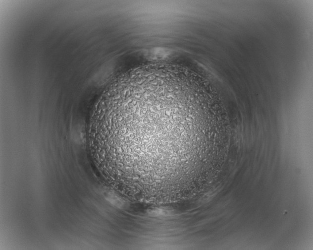 X0000062640561200512211207
