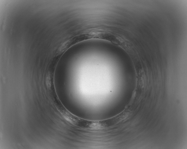 X0000062640562200512211207