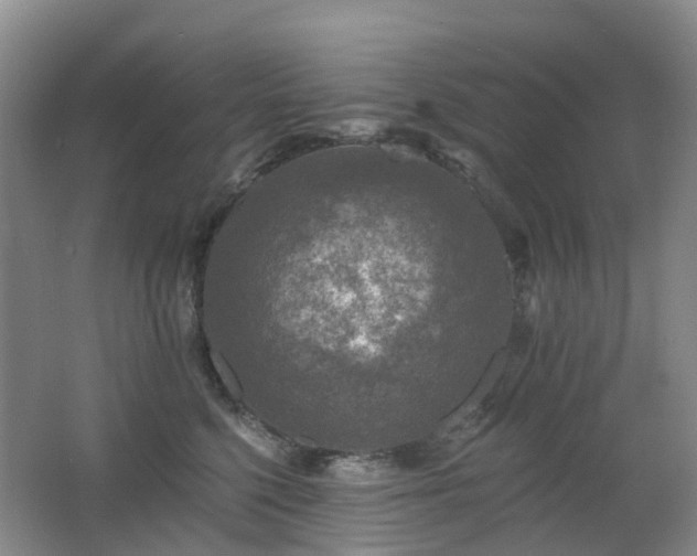 X0000062640568200512211207