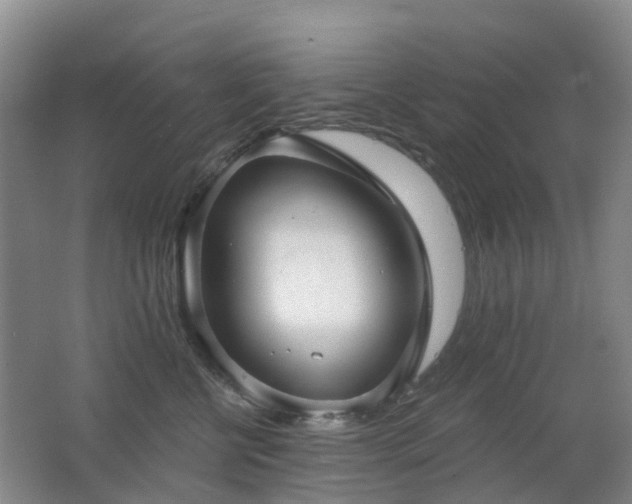 X0000062640570200512211207