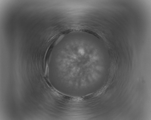 X0000062640576200512211207