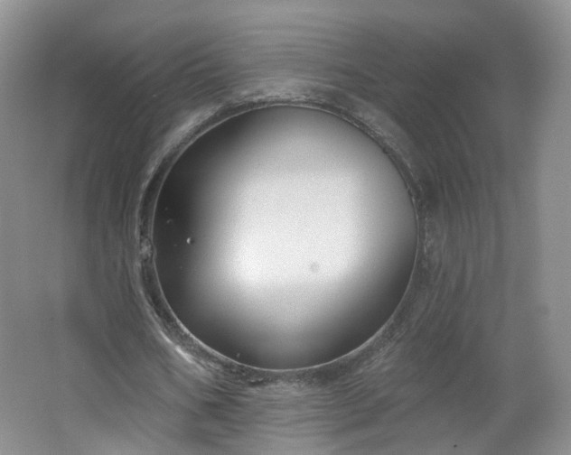 X0000062640578200512211206