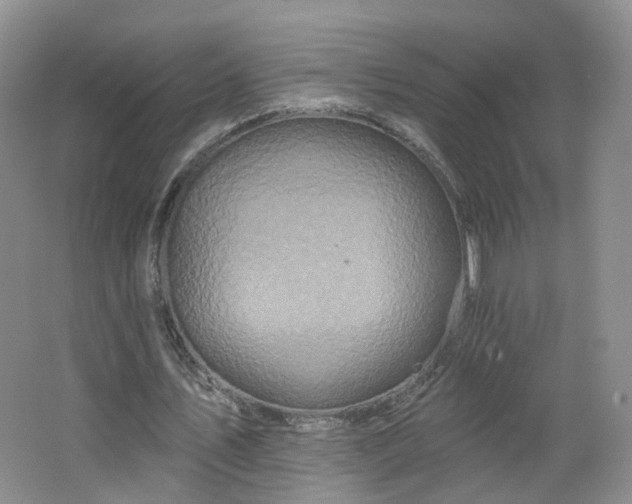 X0000062640579200512211206