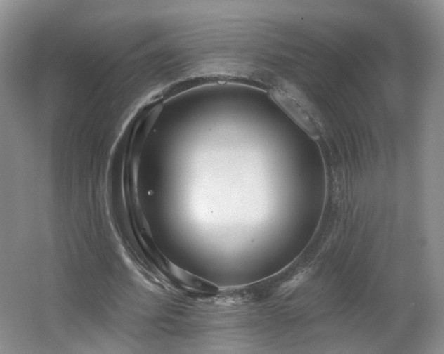 X0000062640580200512211206