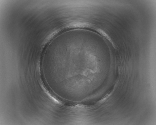 X0000062640581200512211206