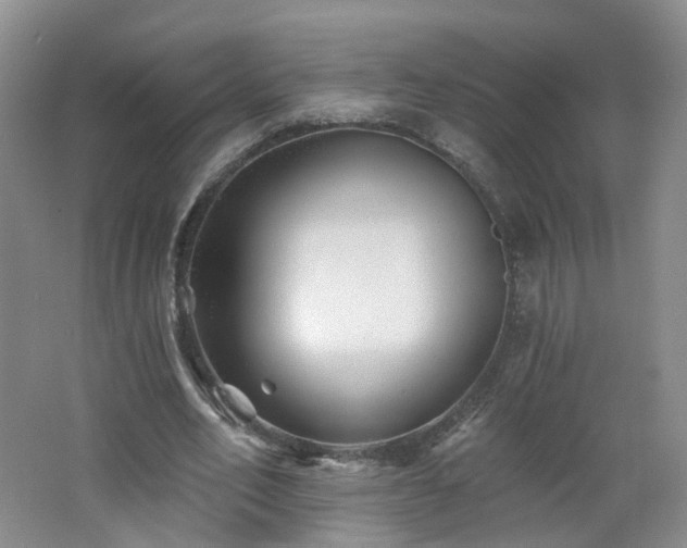 X0000062640582200512211206