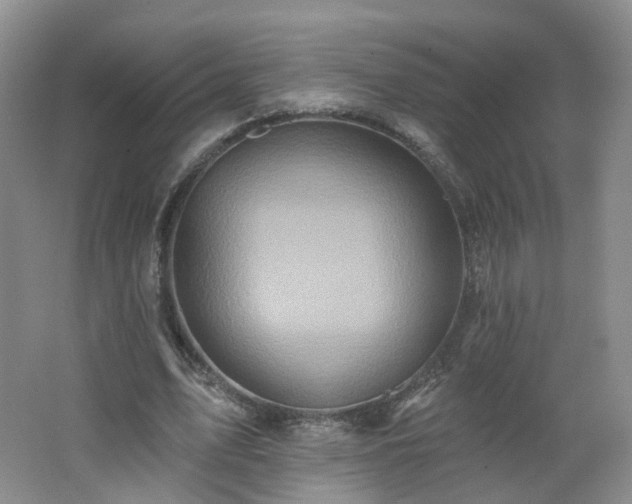 X0000062640583200512211206