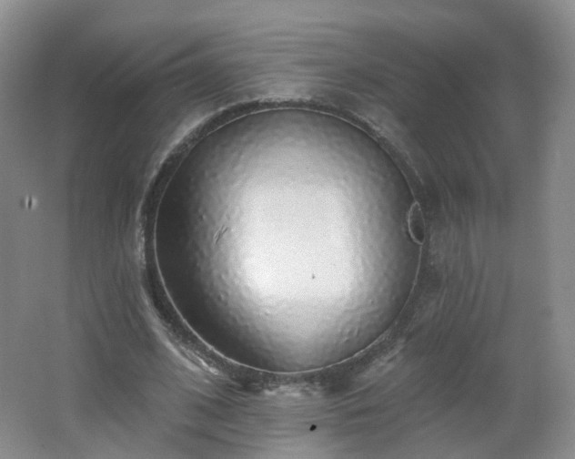 X0000062640584200512211206