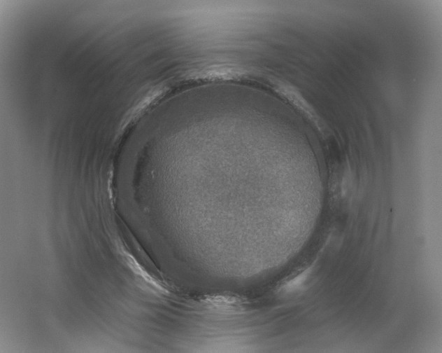 X0000062640585200512211206