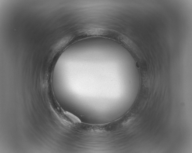 X0000062640586200512211206