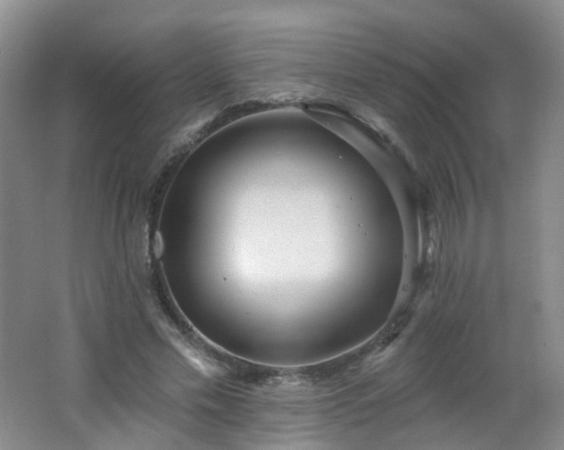 X0000062640589200512211206