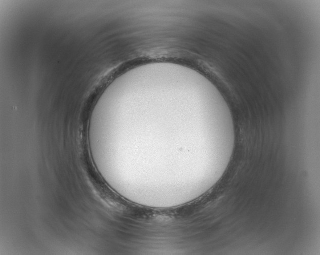 X0000062640592200512211206