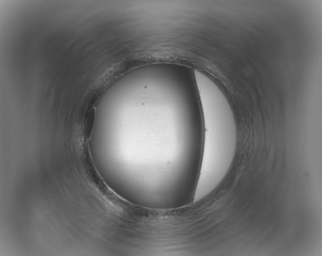 X0000062640593200512211206