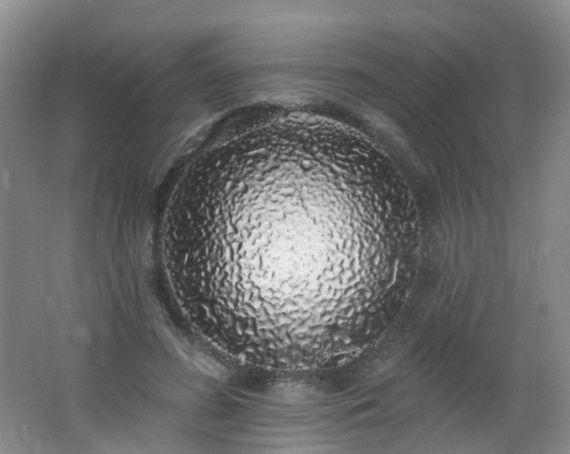 X0000062640596200512211206