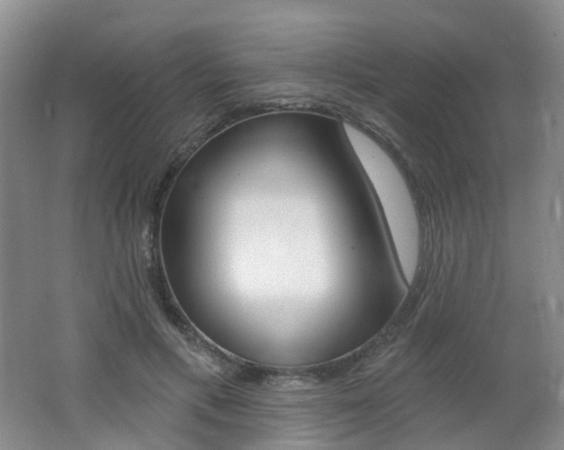 X0000062640597200512211206