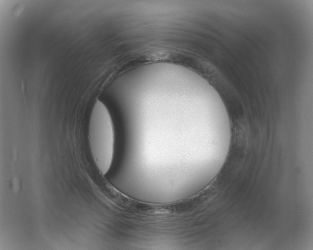 X0000062640598200512211206