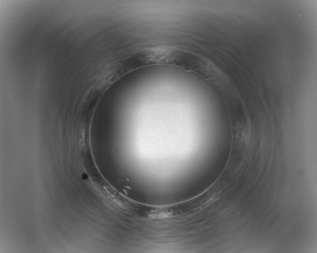 X0000062640602200512211206