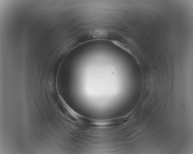 X0000062640604200512211206