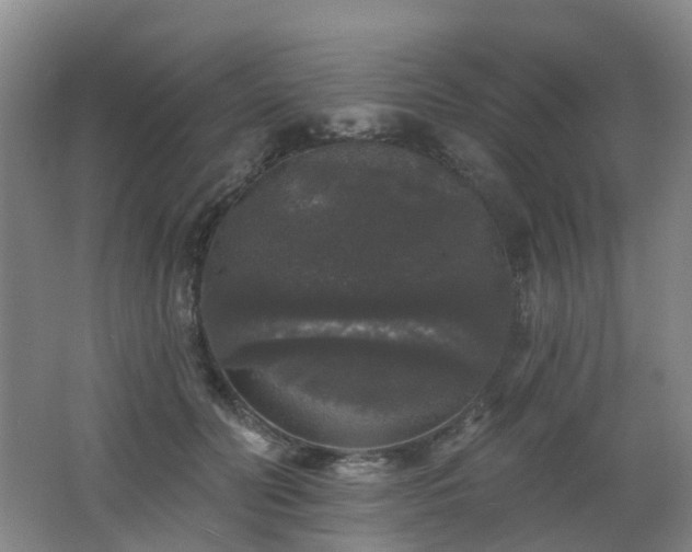 X0000062640606200512211206