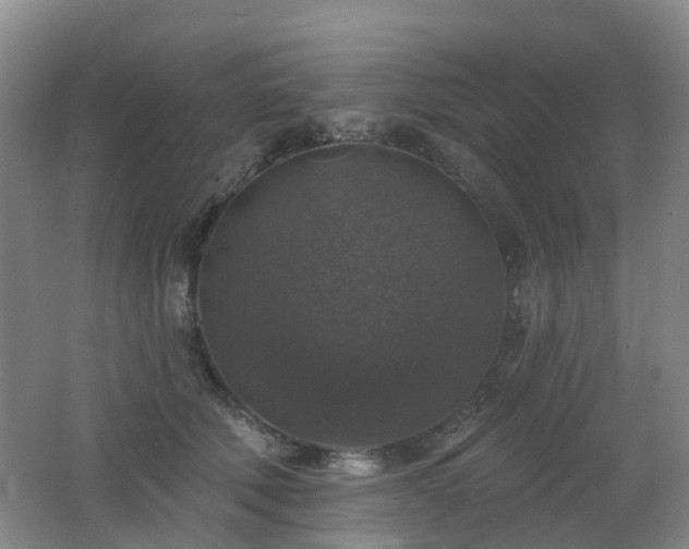 X0000062640610200512211206