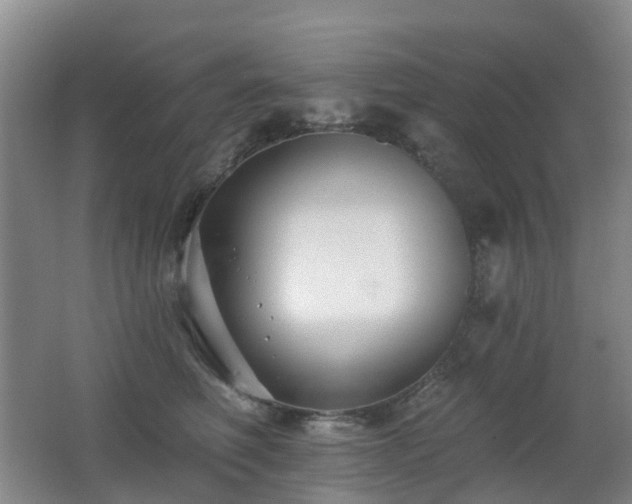 X0000062640614200512211206