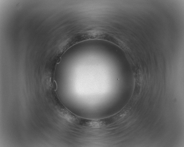 X0000062640615200512211206