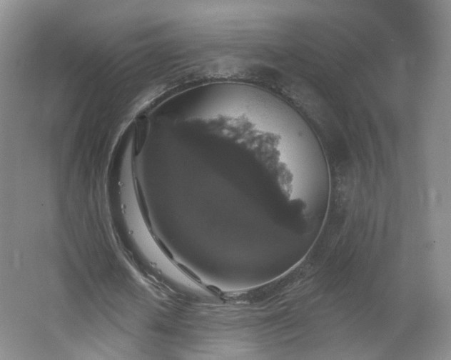 X0000062640626200512211205