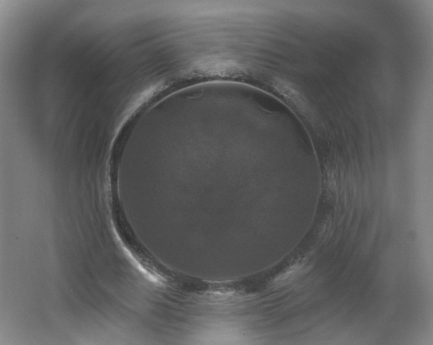 X0000062640630200512211205
