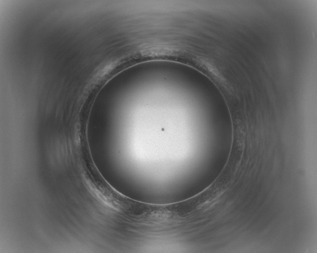 X0000062640631200512211205