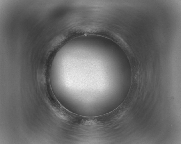 X0000062640635200512211205