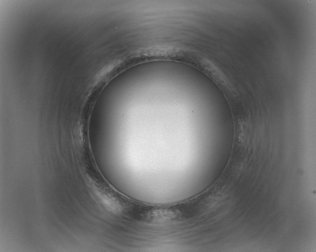 X0000062640636200512211205