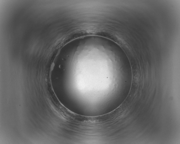 X0000062640639200512211205
