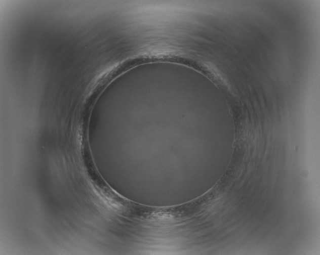 X0000062640640200512211205