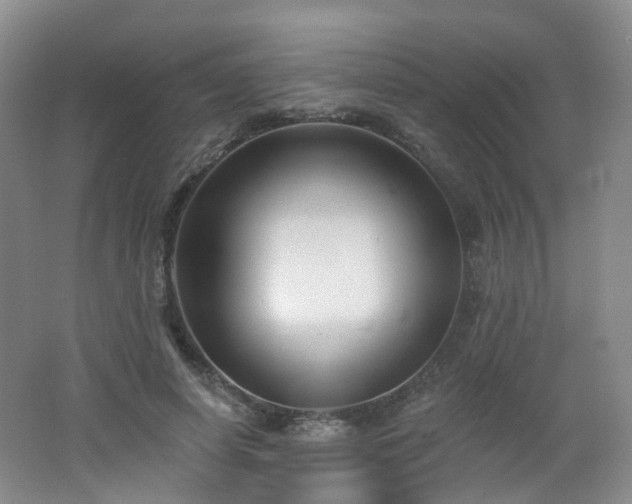 X0000062640642200512211205