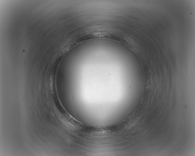 X0000062640646200512211205