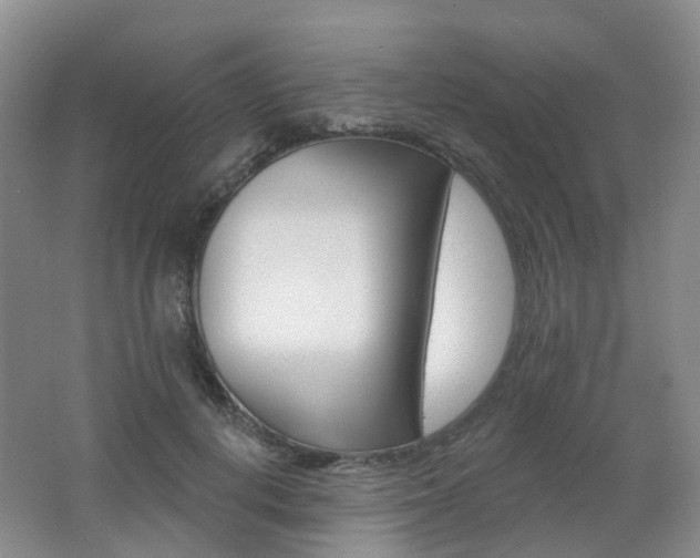 X0000062640648200512211205