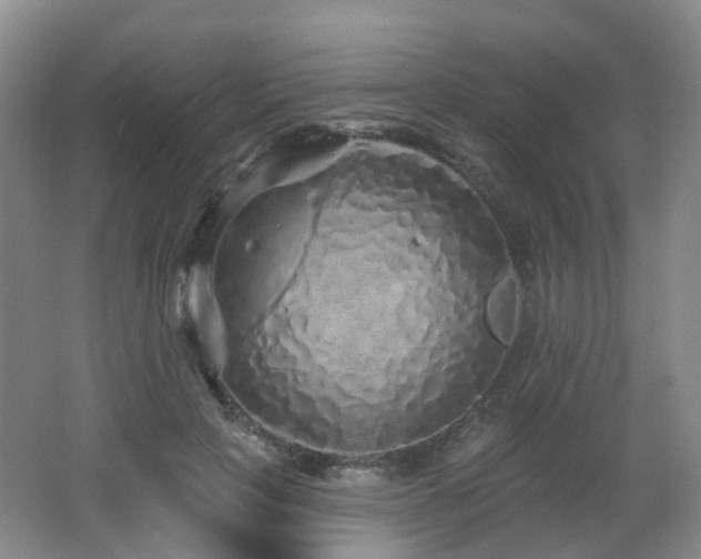 X0000062640649200512211205