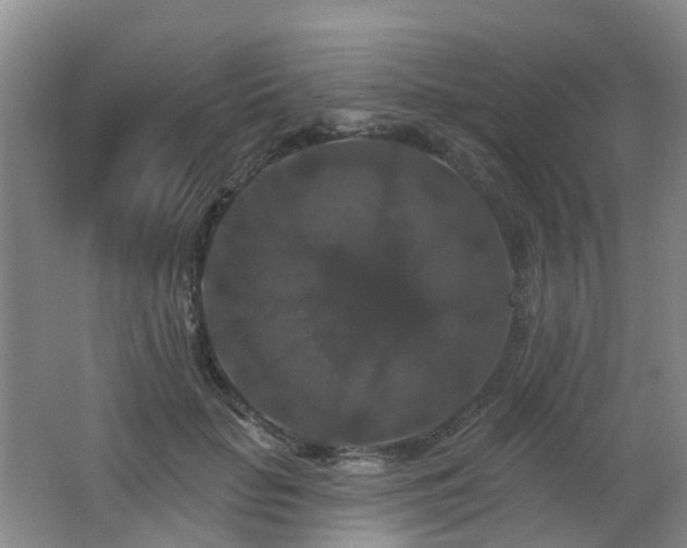 X0000062640653200512211205