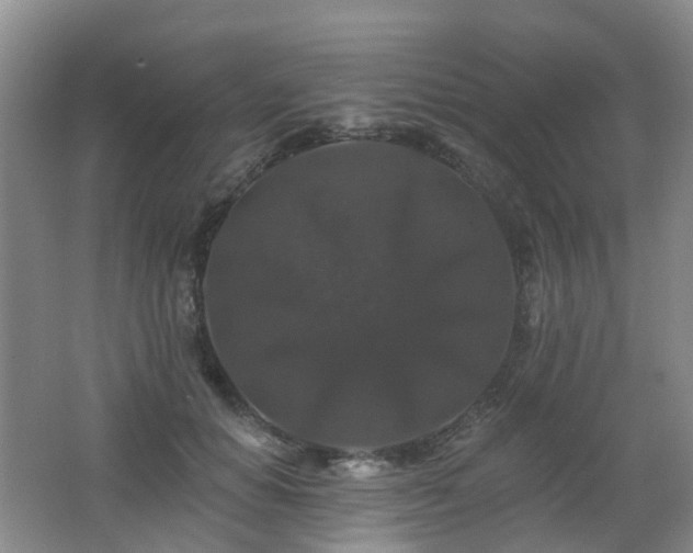 X0000062640654200512211205